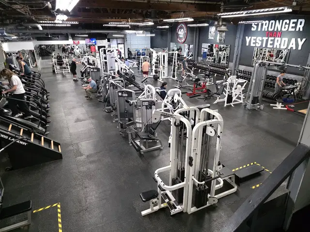 Hollywood Fitness