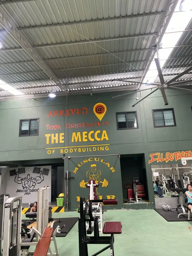 MUSCULAR LAIR