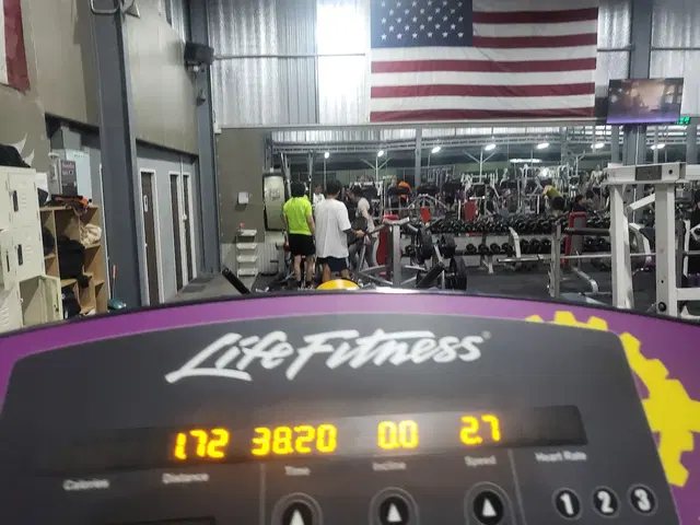 MUSCULAR LAIR