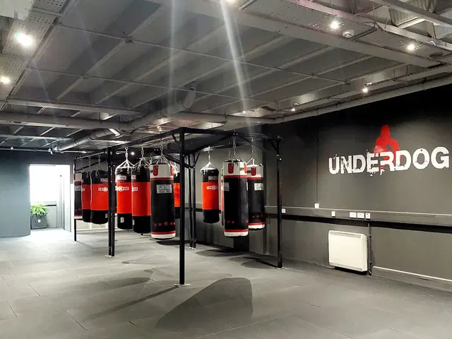 Underdog Boxing Gym