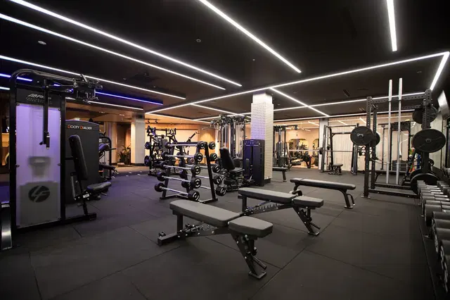 SOHO Gym + Recovery