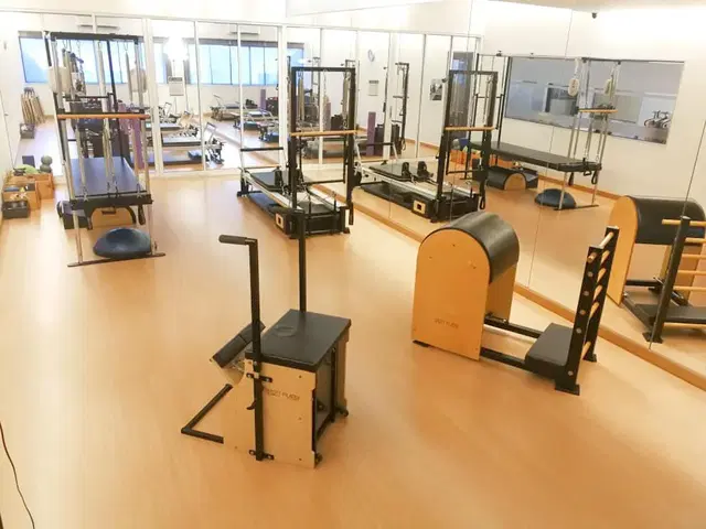 Pilatique Pilates & Physiotherapy Studio (Damansara Heights)