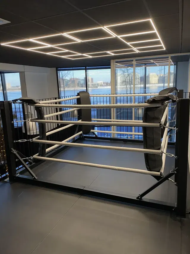 PTBoxing