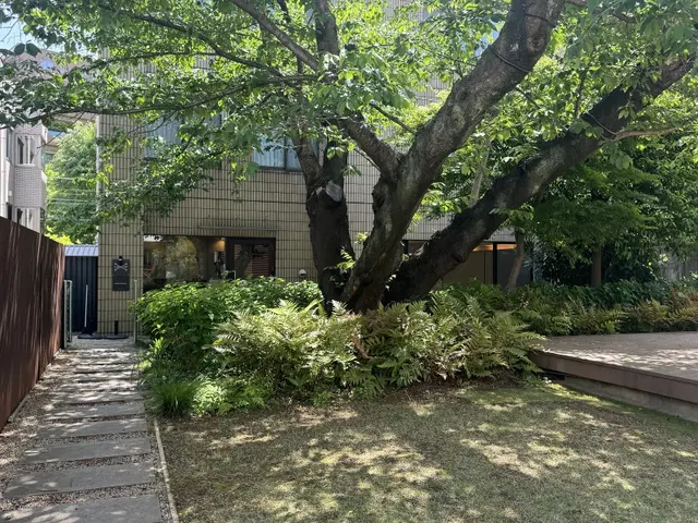 Breathingwhale Tokyo Meditation Yoga Studio