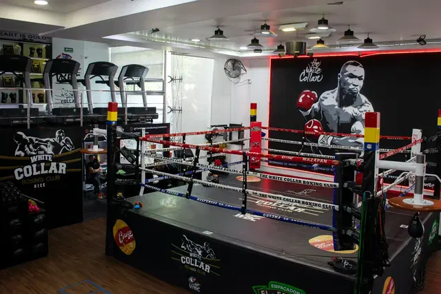 The White Collar Boxing Club