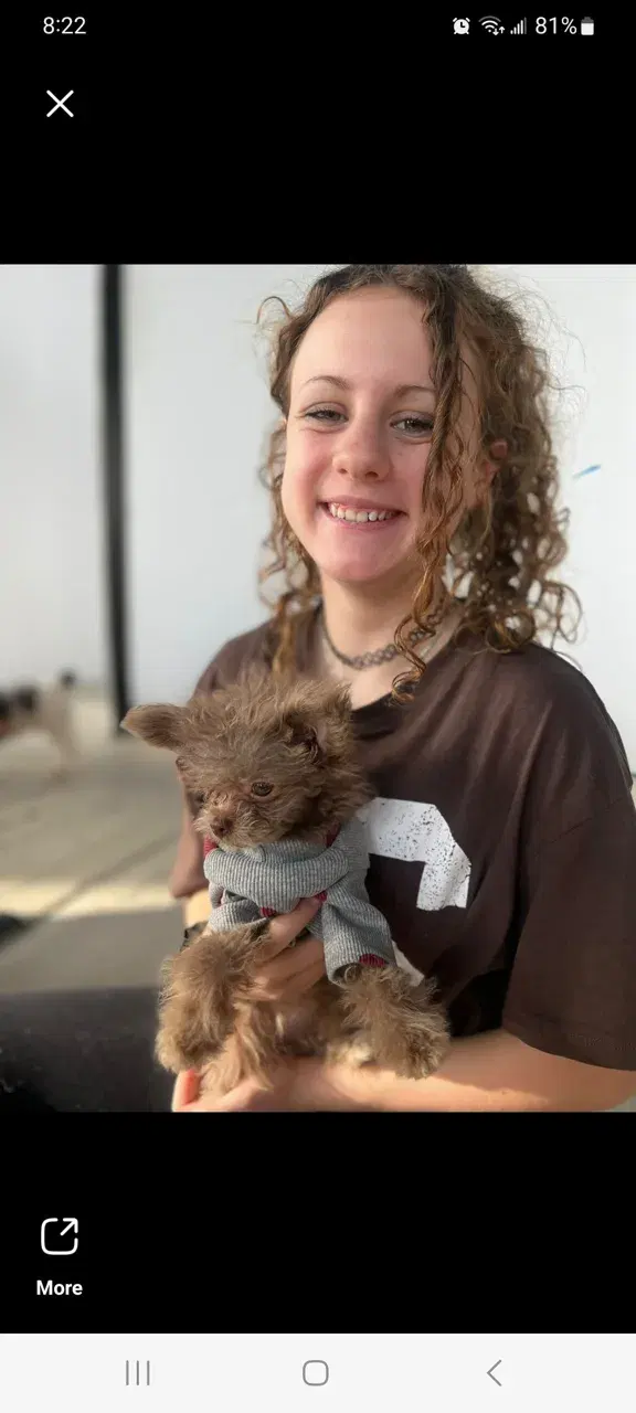 The Puppy Yoga Center