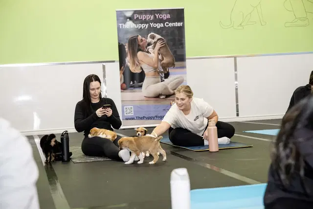 The Puppy Yoga Center