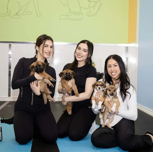 The Puppy Yoga Center