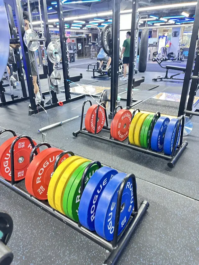 GYM BRO ( GYM DISTRICT 1 )