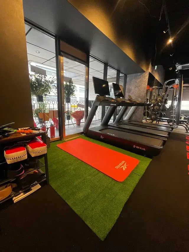 EXE GYM