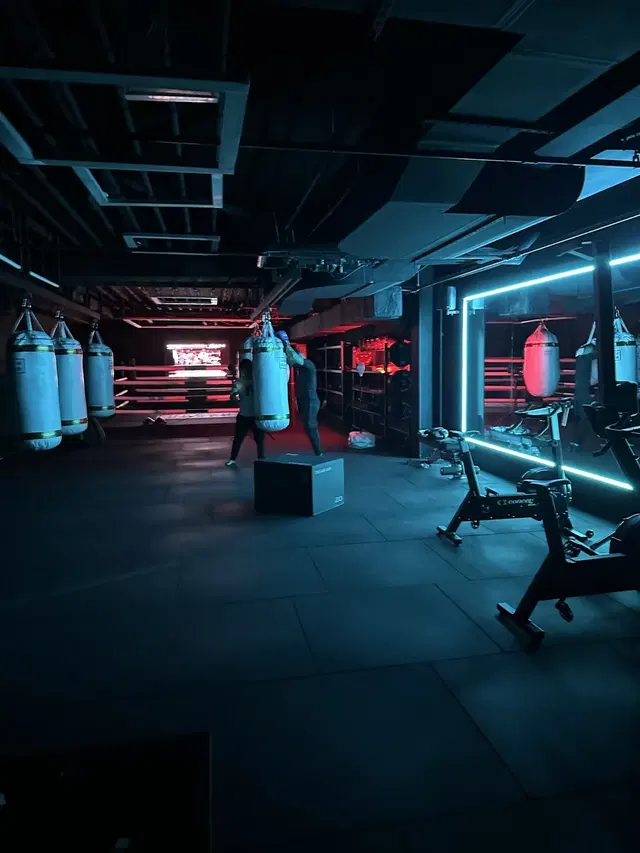 Urban Boxer DXB