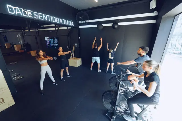 Sense Cordón