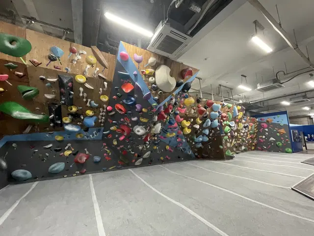 Rocky Bouldering Gym Shinagawa