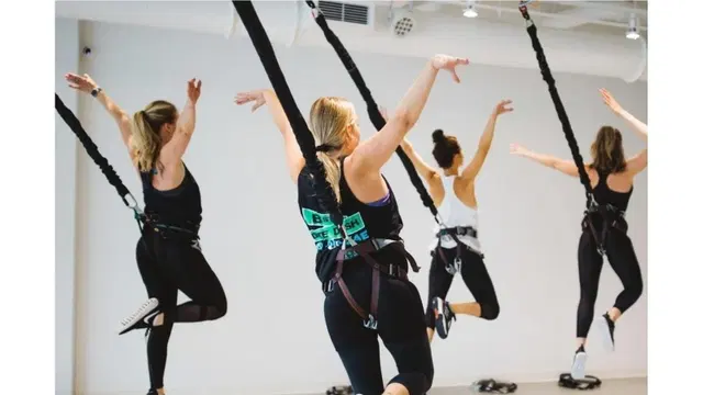 Fly Fit Bungee Phoenix