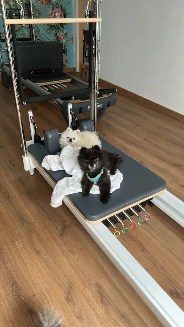 Destino Estudio Pilates