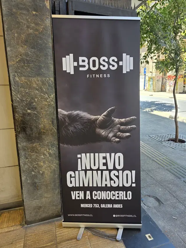 Boss Fitness