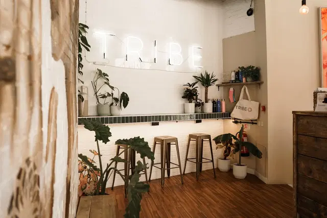 Tribe City