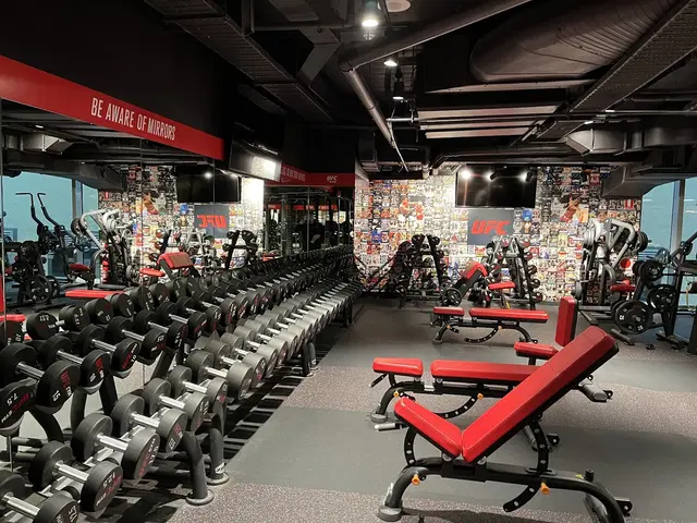 UFC GYM Signature