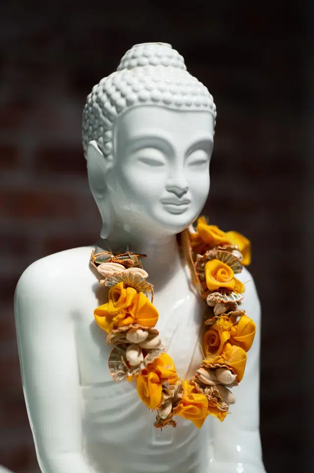 Yoga District - Dupont