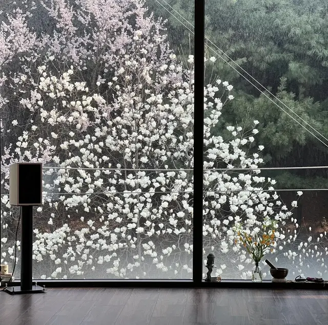 로투스요가 LOTUS YOGA