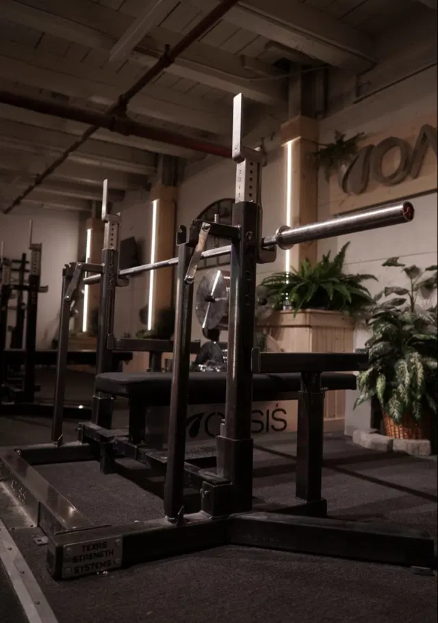 Oasis Powerlifting - Boston