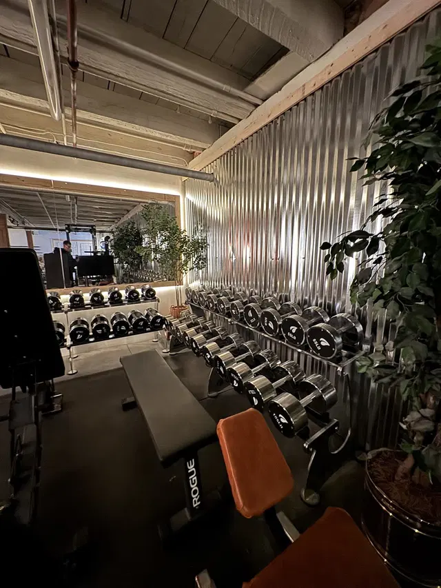Oasis Powerlifting - Boston