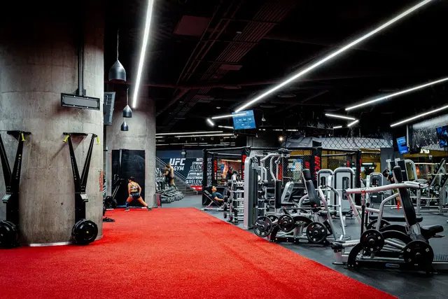 UFC GYM INSURGENTES