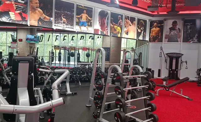 UFC GYM INSURGENTES