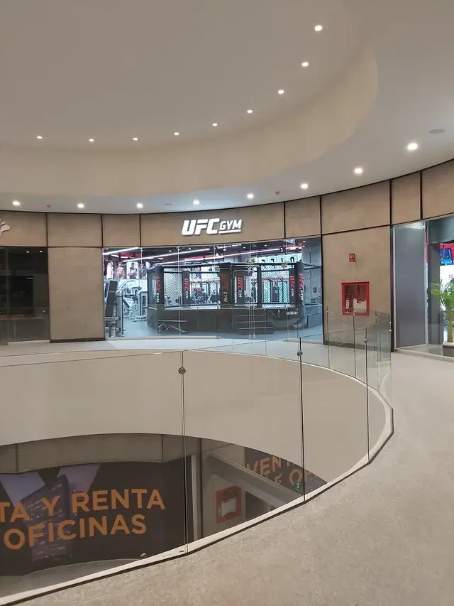 UFC GYM INSURGENTES