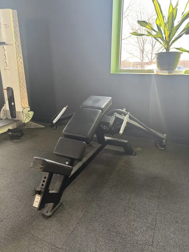 Train Your Way Fitness