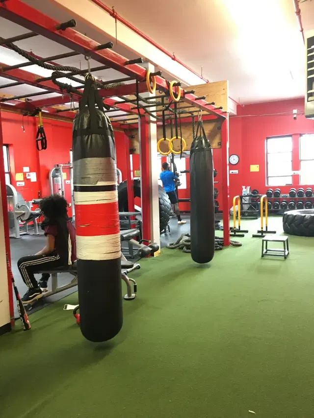 Boxingology, LLC.